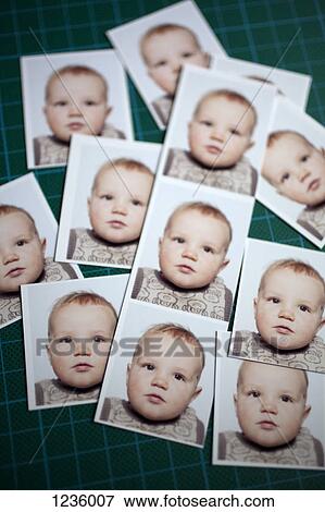Multiple wallet sized passport photos of a baby arranged on a cutting mat View Large Photo Image Stock Photo - Multiple wallet sized passport photos of a baby arranged on a cutting mat. Fotosearch