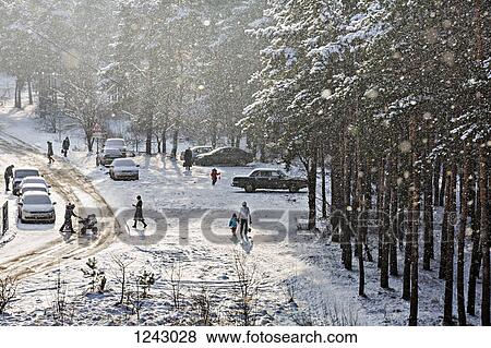 People walking to and from parked cars at the edge of forest in winter View Large Photo Image Stock Photo - People walking to and from parked cars at the edge of forest in winter. Fotosearch