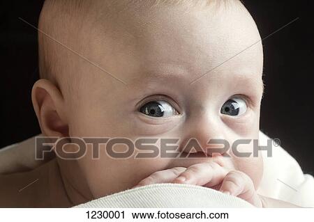 Portrait of baby boy View Large Photo Image Stock Image - Portrait of baby boy. Fotosearch
