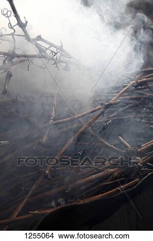 Picture - Smoke coming off vines burning in a campfire. Fotosearch