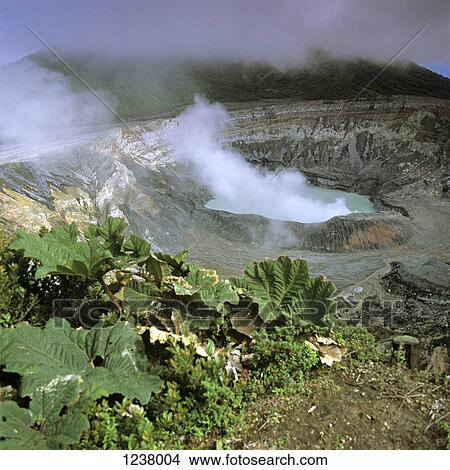 Steam rising from Poas Volcano, Alajuela, Costa Rica View Large Photo Image Picture - Steam rising from Poas Volcano, Alajuela, Costa Rica. Fotosearch