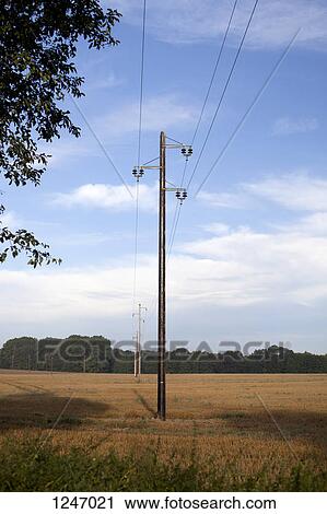 Telephones poles in diminishing perspective in a field in a rural setting View Large Photo Image Stock Image - Telephones poles in diminishing perspective in a field in a rural setting. Fotosearch