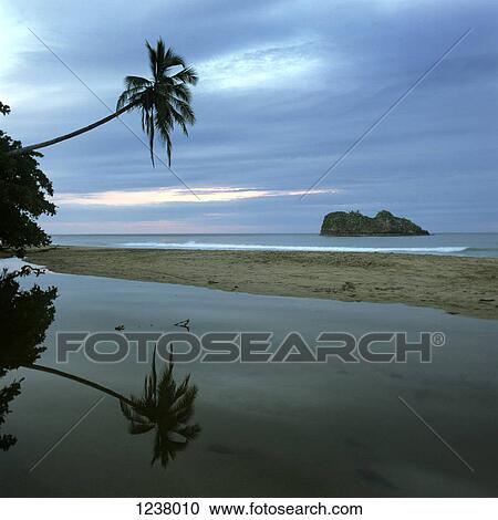 View of a beach and the sea under a dramatic sky View Large Photo Image Stock Image - View of a beach and the sea under a dramatic sky. Fotosearch