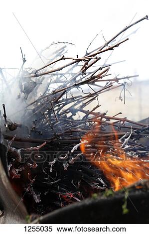 Vines burning on a campfire View Large Photo Image Stock Photography - Vines burning on a campfire. Fotosearch