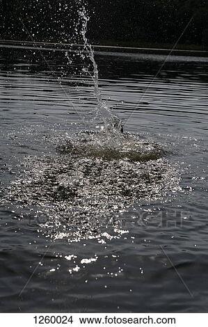 Water splashing on a lake in the sunlight View Large Photo Image Picture - Water splashing on a lake in the sunlight. Fotosearch