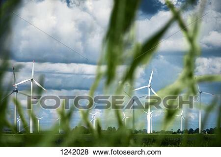 Wind turbines with blades of grass in foreground, Schleswig-Holstein, Germany View Large Photo Image Stock Photo - Wind turbines with blades of grass in foreground, Schleswig-Holstein, Germany. Fotosearch