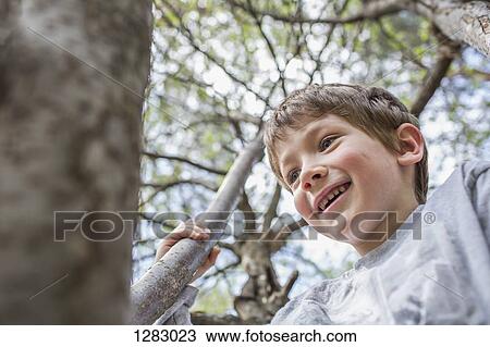 A cheerful young boy climbing a tree View Large Photo Image Stock Image - A cheerful young boy climbing a tree. Fotosearch