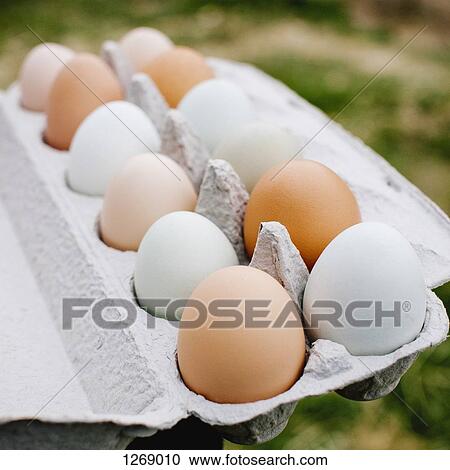 A dozen brown and white eggs in an egg carton View Large Photo Image Stock Image - A dozen brown and white eggs in an egg carton. Fotosearch