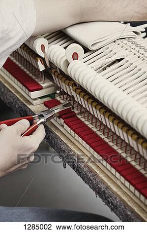 A piano repairman using pliers to fix a piano View Large Photo Image Stock Image - A piano repairman using pliers to fix a piano. Fotosearch