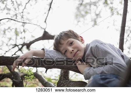 A serene boy relaxation on a tree branch he climbed View Large Photo Image Stock Image - A serene boy relaxation on a tree branch he climbed. Fotosearch