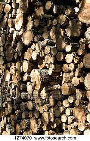 A stack of firewood, close-up, full frame View Large Photo Image Stock Image - A stack of firewood, close-up, full frame. Fotosearch