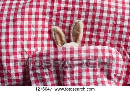 A stuffed bunny's ears sticking out of a gingham duvet View Large Photo Image Stock Photo - A stuffed bunny's ears sticking out of a gingham duvet. Fotosearch
