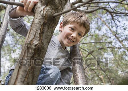 A young cheerful boy climbing a tree View Large Photo Image Stock Photograph - A young cheerful boy climbing a tree. Fotosearch