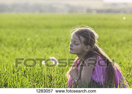 A young girl kneeling down to look curiously at a dandelion in a field View Large Photo Image Stock Photo - A young girl kneeling down to look curiously at a dandelion in a field. Fotosearch