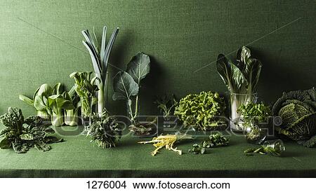 Assorted green vegetables on green table View Large Photo Image Picture - Assorted green vegetables on green table. Fotosearch