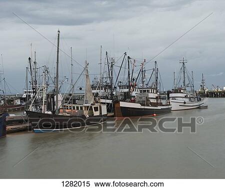 Stock Photography - Fishing fleet at Richmond, British Columbia, Canada, . Fotosearch