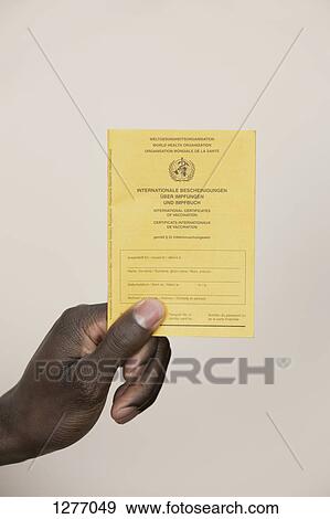 German Immunisation Certificate View Large Photo Image Stock Photo - German Immunisation Certificate. Fotosearch