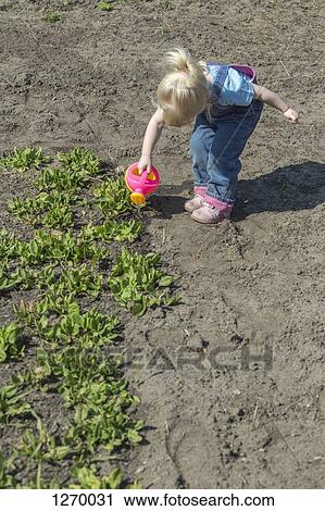 Girl watering plants with her watering can View Large Photo Image Stock Image - Girl watering plants with her watering can. Fotosearch