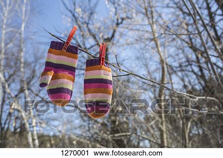 Pair of striped mittens pegged to branch View Large Photo Image Stock Image - Pair of striped mittens pegged to branch. Fotosearch