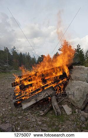 Planks of wood burning in a big bonfire View Large Photo Image Stock Photo - Planks of wood burning in a big bonfire. Fotosearch