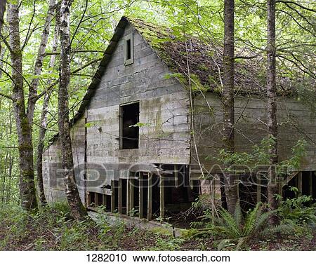Stock Image - Ruins of a wooden house at British Columbia, Canada. Fotosearch