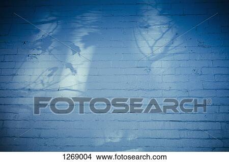 The shadow of a tree on a brick wall View Large Photo Image Picture - The shadow of a tree on a brick wall. Fotosearch