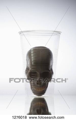 Toy skull in disposable cup View Large Photo Image Stock Photo - Toy skull in disposable cup. Fotosearch