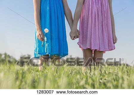 Twin sisters holding hands in a sunny field, low angle view View Large Photo Image Stock Photo - Twin sisters holding hands in a sunny field, low angle view. Fotosearch
