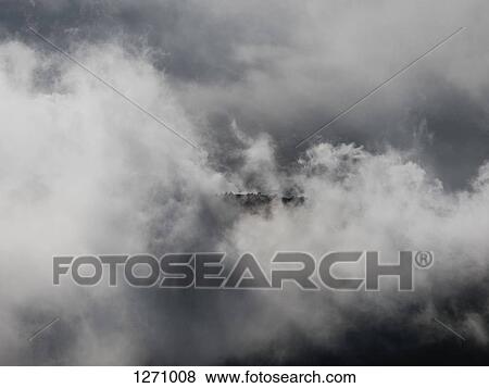White cloudscape, close-up, full frame View Large Photo Image Stock Photo - White cloudscape, close-up, full frame. Fotosearch