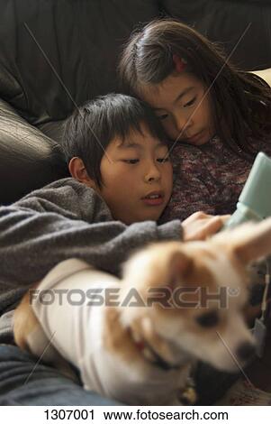 A brother and sister lying on sofa with dog View Large Photo Image Stock Image - A brother and sister lying on sofa with dog. Fotosearch