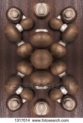 A digital composite of mirrored images of an arrangement of mushrooms View Large Photo Image Picture - A digital composite of mirrored images of an arrangement of mushrooms. Fotosearch