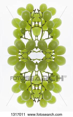 A digital composite of mirrored images of an arrangement of grapes View Large Photo Image Stock Image - A digital composite of mirrored images of an arrangement of grapes. Fotosearch