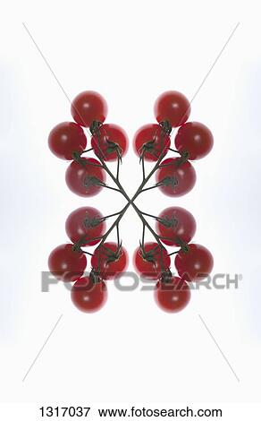 A digital composite of mirrored images of an arrangement of red currants View Large Photo Image Stock Photo - A digital composite of mirrored images of an arrangement of red currants. Fotosearch