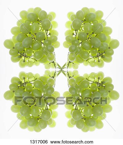 A digital composite of mirrored images of bunches of green grapes View Large Photo Image Stock Photograph - A digital composite of mirrored images of bunches of green grapes. Fotosearch