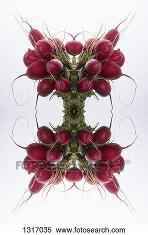 A digital composite of mirrored images of bunches of radishes View Large Photo Image Stock Photography - A digital composite of mirrored images of bunches of radishes. Fotosearch