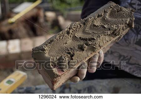 A senior man holding brick, close-up View Large Photo Image Picture - A senior man holding brick, close-up. Fotosearch