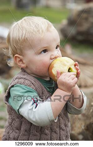 Stock Photo - Baby boy eating apple, looking away. Fotosearch