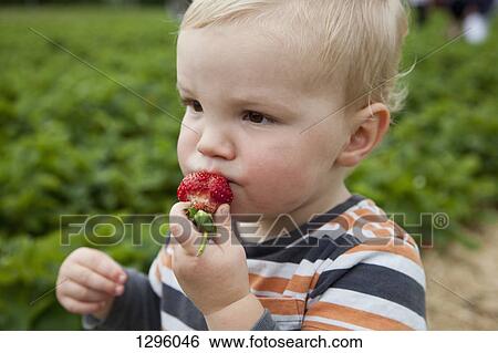 Stock Photograph - Baby boy eating strawberry, looking away. Fotosearch