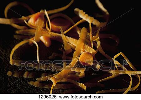 Close-up of vegetable peels View Large Photo Image Stock Photograph - Close-up of vegetable peels. Fotosearch
