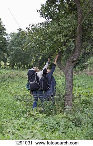 Stock Image - Couple standing by tree, picking fruits. Fotosearch