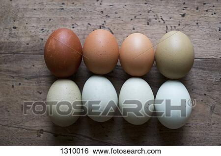 Eggs in rows, close-up View Large Photo Image Stock Photograph - Eggs in rows, close-up. Fotosearch