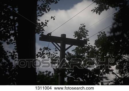 Electricity pole and power lines View Large Photo Image Picture - Electricity pole and power lines. Fotosearch