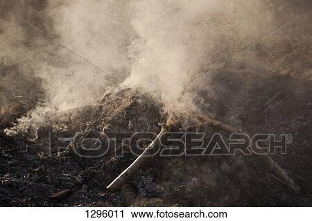 Forest fire View Large Photo Image Stock Image - Forest fire. Fotosearch
