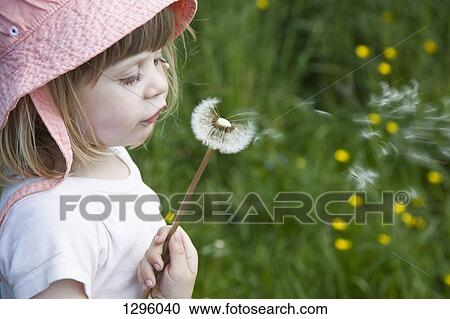 Girl blowing dandelion flower, close-up View Large Photo Image Stock Image - Girl blowing dandelion flower, close-up. Fotosearch