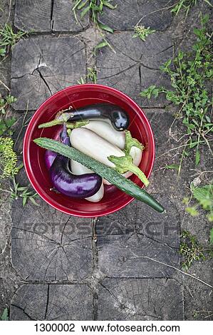 Stock Image - Homegrown vegetables in bucket, overhead view. Fotosearch