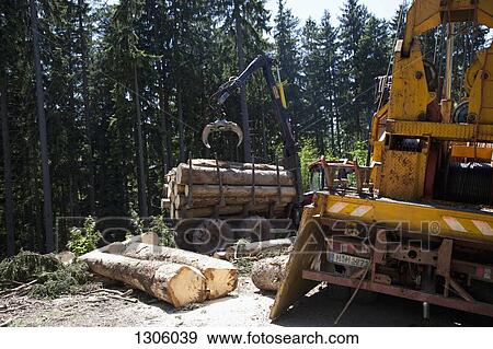 Stock Photo - Logs loading in commercial land vehicle. Fotosearch