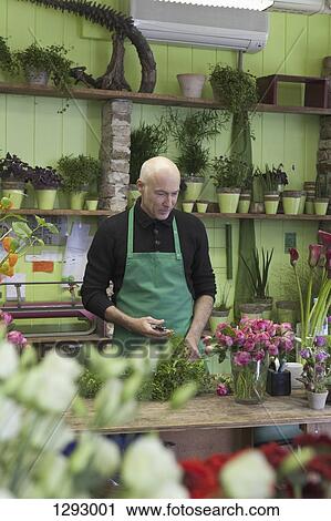 Mature man gardening plant View Large Photo Image Stock Image - Mature man gardening plant. Fotosearch