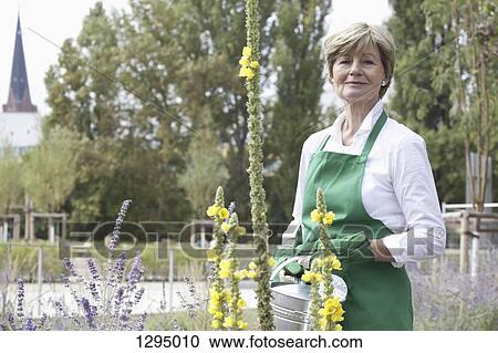 Mature woman holding watering can, portrait View Large Photo Image Stock Image - Mature woman holding watering can, portrait. Fotosearch