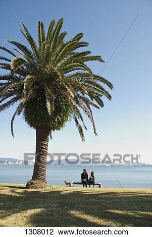 Mother and daughter sitting on bench with dog near sea View Large Photo Image Stock Image - Mother and daughter sitting on bench with dog near sea. Fotosearch