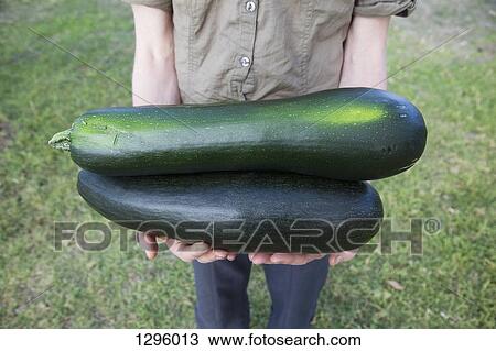 Person holding cucumber, close-up View Large Photo Image Stock Image - Person holding cucumber, close-up. Fotosearch